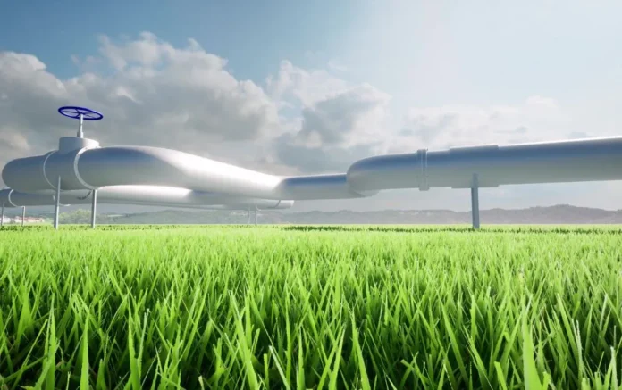 Low-Carbon Ammonia