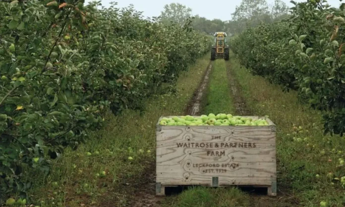 Illustration of UK-grown food entering supermarket supply chain, highlighting Waitrose report data
