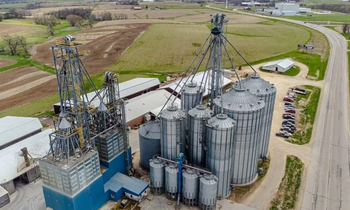 Modern grain facility representing feed chain infrastructure