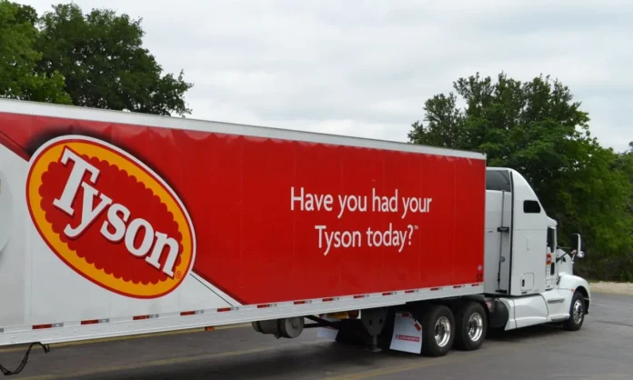 Tyson Mega Dino Nuggets in Retail Packaging