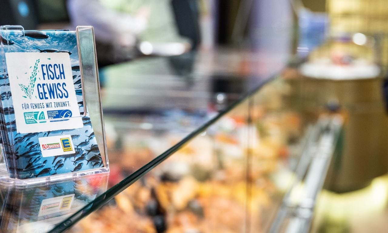 Excellent fish range: EDEKA gets MSC Award Germany 2025