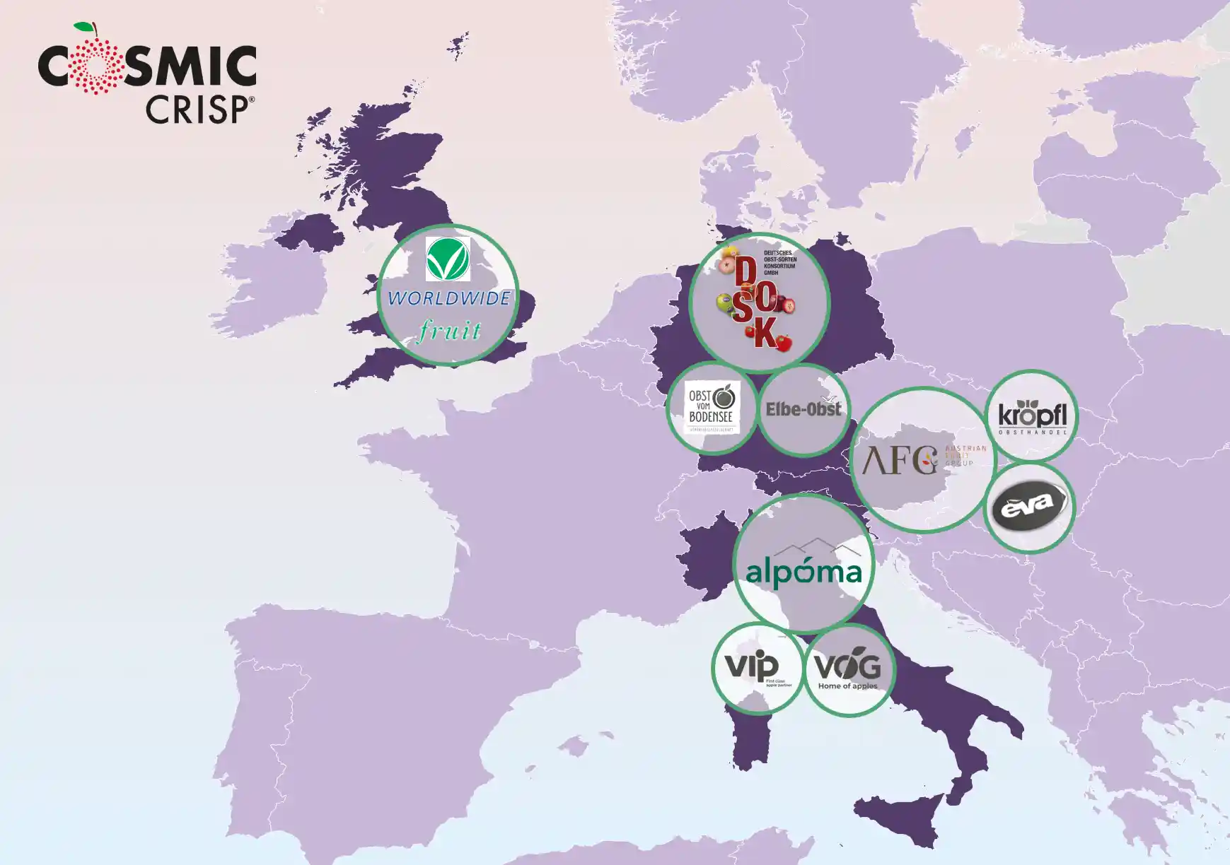 Cosmic Crisp Cosmic Crisp European growth strategy