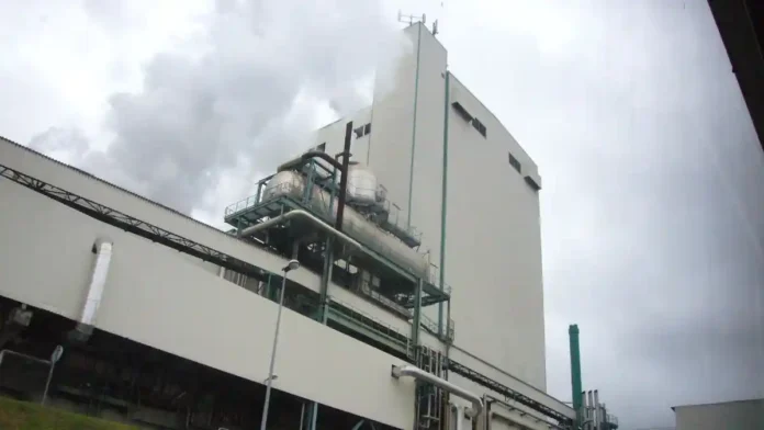 International Paper to Split Packaging Business