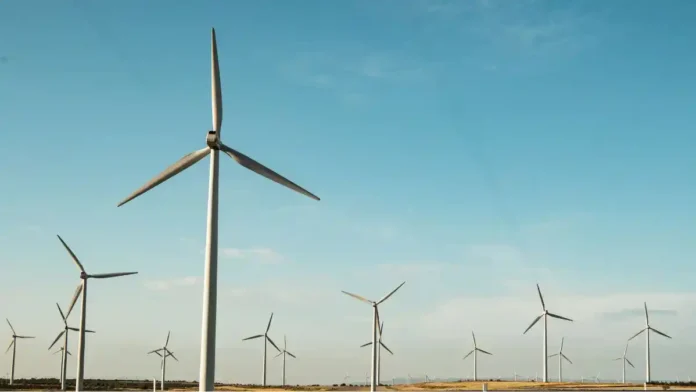 Mars Secures Swedish Wind Power in Decarbonisation Push