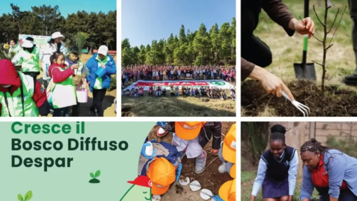 SPAR Country Organisations Support Sustainable Forest Growth