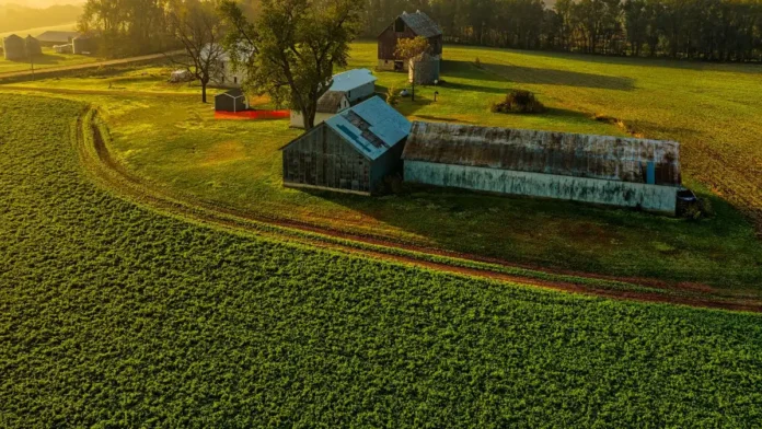  NEC Africa agri-tech startup programme 2026