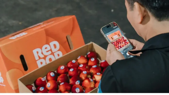 RedPop Vietnam launch expands Asia footprint