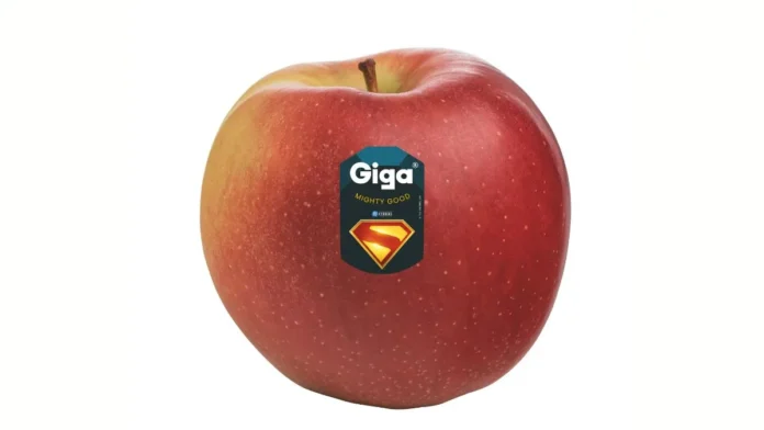  VOG Renews Super Hero Campaign for Giga and RedPop